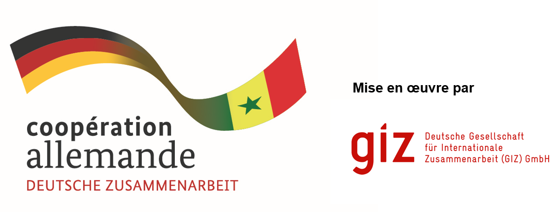 Logo Projet